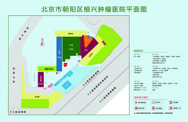 叼逼艹视频北京市朝阳区桓兴肿瘤医院平面图